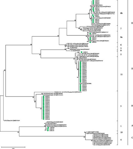 Details are in the caption following the image Details are in the caption following the image