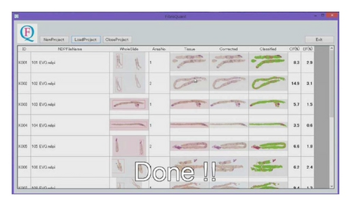 Details are in the caption following the image Details are in the caption following the image