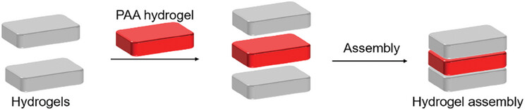 A Universal Strategy for Constructing Hydrogel Assemblies Enabled by PAA Hydrogel Adhesive