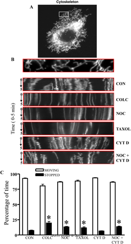 Details are in the caption following the image