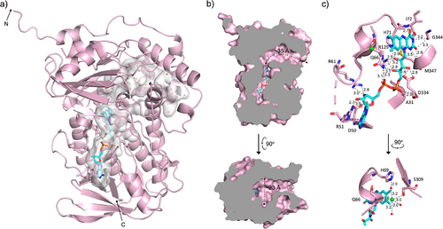 Details are in the caption following the image Details are in the caption following the image