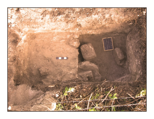 Details are in the caption following the image Details are in the caption following the image