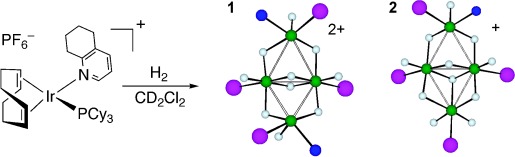 Tetrameric Iridium Hydride-Rich Clusters Formed under Hydrogenation Conditions
