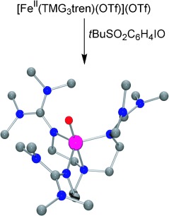 A Synthetic High-Spin Oxoiron(IV) Complex: Generation, Spectroscopic Characterization, and Reactivity