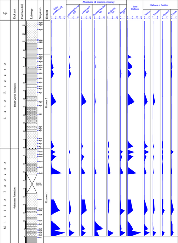 Details are in the caption following the image