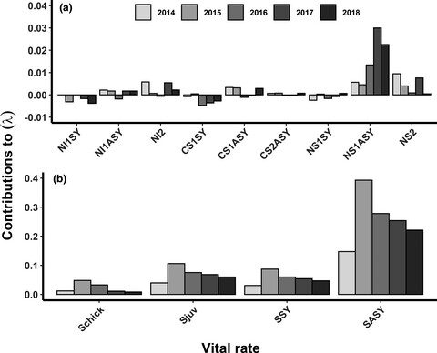 Acute and lagged fitness consequences for a sagebrush obligate in a post mega-wildfire landscape