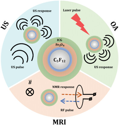 Multilayer Polymer Shell Perfluoropentane Nanodroplets for Multimodal Ultrasound, Magnetic Resonance, and Optoacoustic Imaging