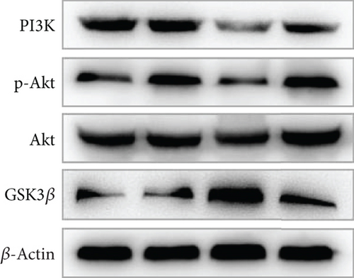 Details are in the caption following the image