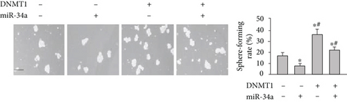 Details are in the caption following the image