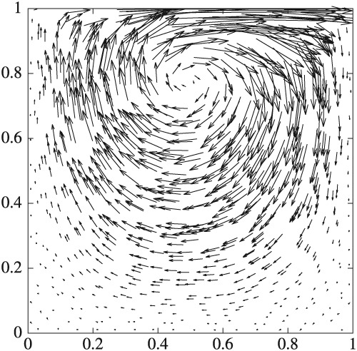 Galerkin local maximum entropy method