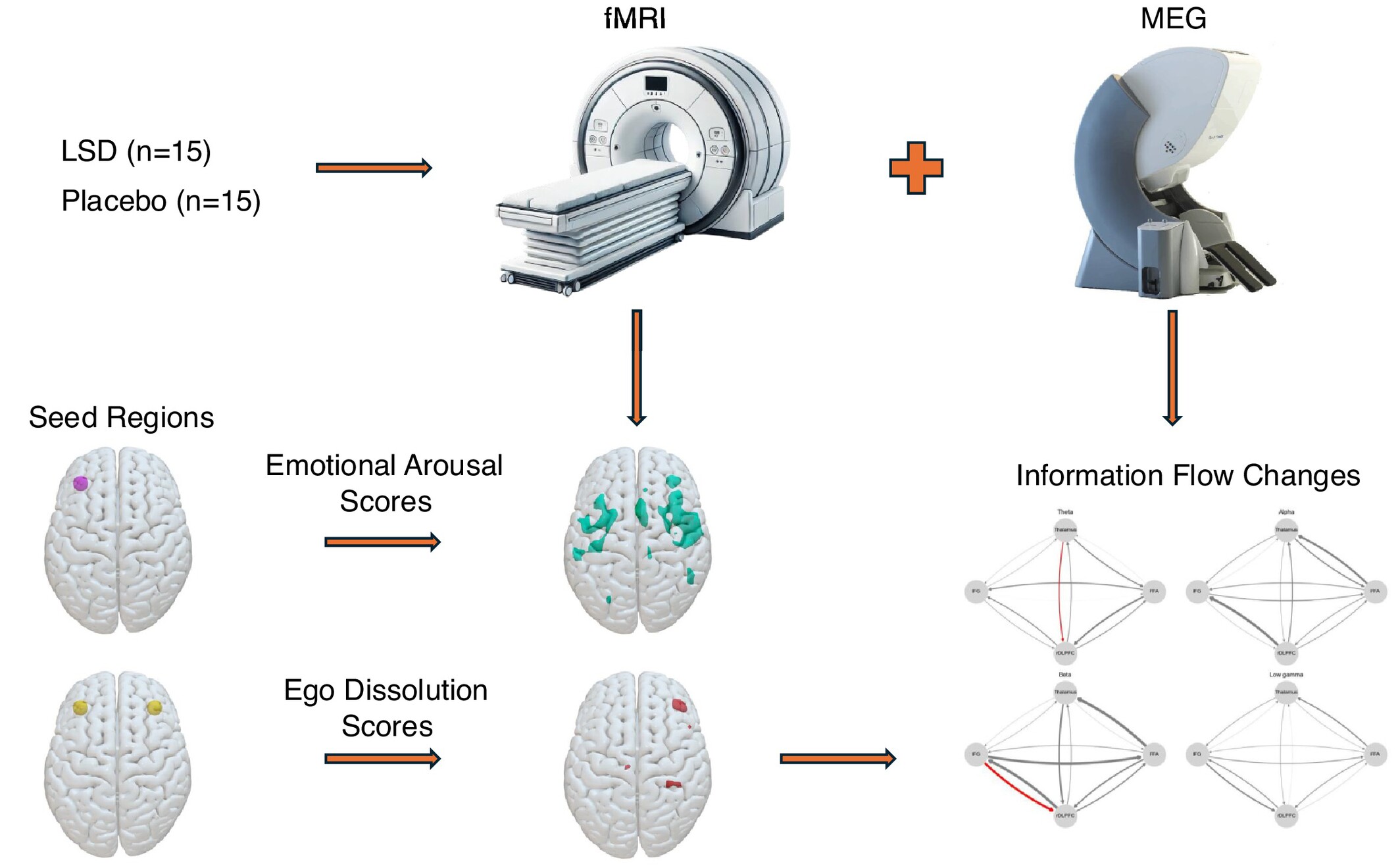 The Role of the Dorsolateral Prefrontal Cortex in Ego Dissolution and Emotional Arousal During the Psychedelic State