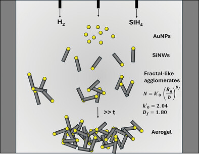 Fractal Scaling in the Gas-Phase Agglomeration of Nanowires