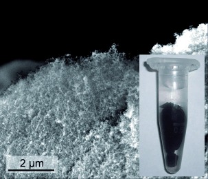 Hydrogele und Aerogele aus Edelmetallnanopartikeln