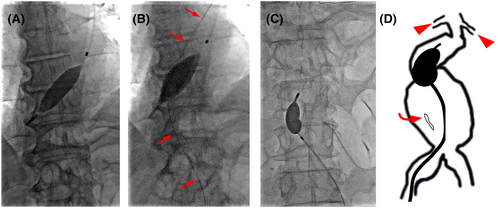 Details are in the caption following the image Details are in the caption following the image