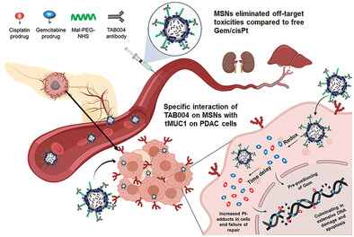 Advanced Nanoengineering Approach for Target-Specific, Spatiotemporal, and Ratiometric Delivery of Gemcitabine–Cisplatin Combination for Improved Therapeutic Outcome in Pancreatic Cancer