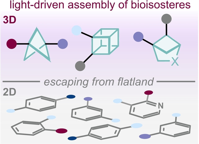 Light-Driven Synthesis and Functionalization of Bicycloalkanes, Cubanes and Related Bioisosteres
