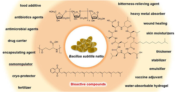 Biological functions of compounds from Bacillus subtilis and its subspecies, Bacillus subtilis natto
