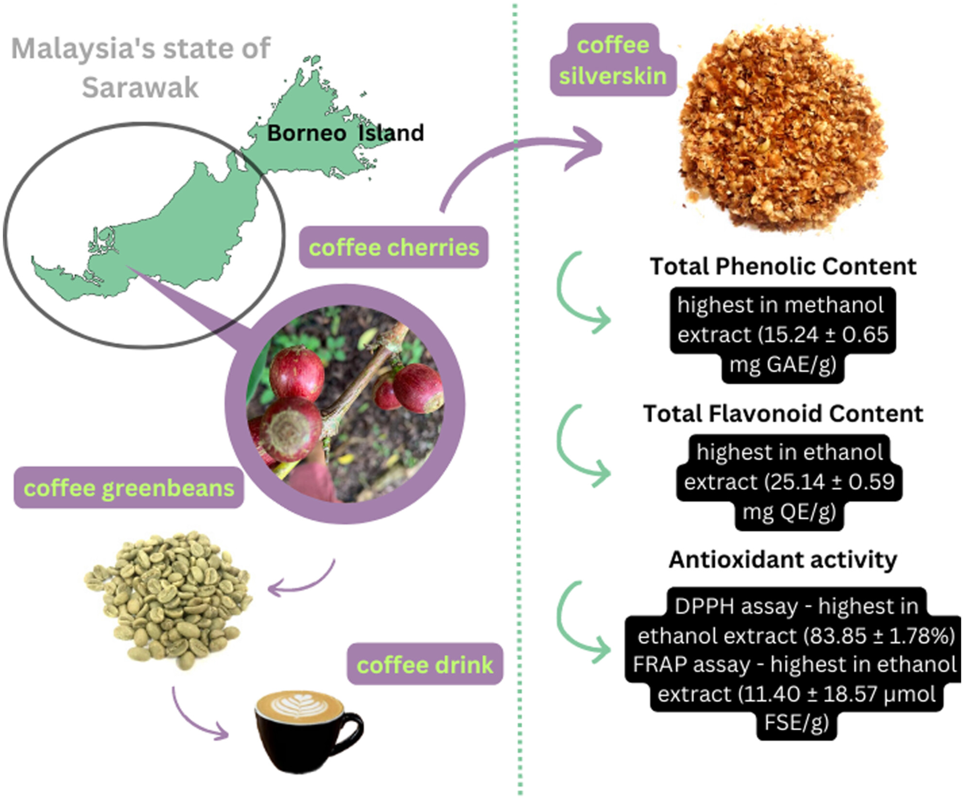 Physiochemical properties of Sarawak's adapted Liberica coffee silverskin utilizing varying solvents