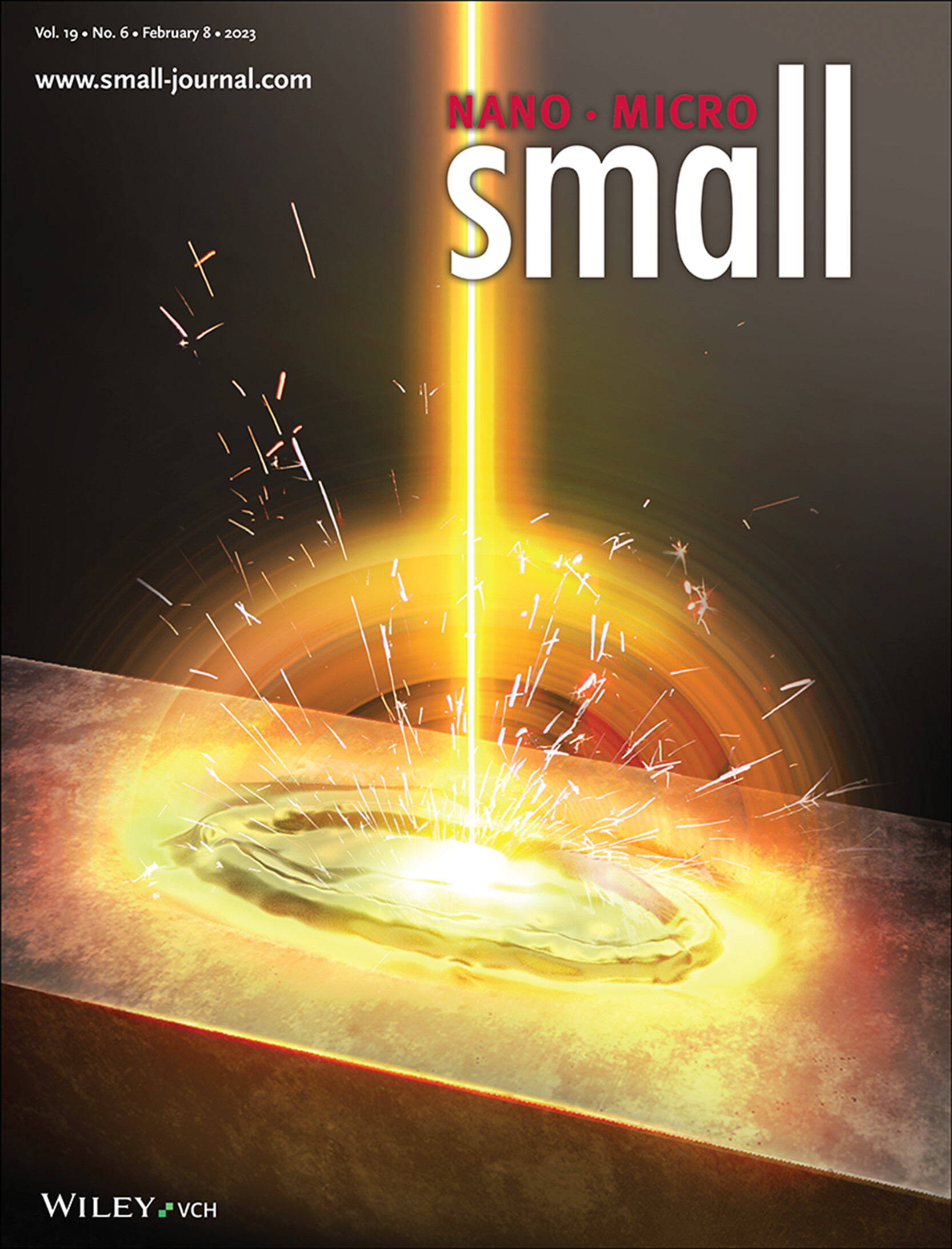 Laser Induced Coffee-Ring Structure through Solid-Liquid Transition for Color Printing (Small 6/2023) Volume 19 Issue 6, 2023