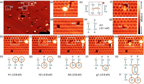 Details are in the caption following the image Details are in the caption following the image