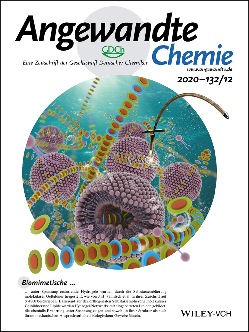 Rücktitelbild: Biomimetic Strain-Stiffening Self-Assembled Hydrogels (Angew. Chem. 12/2020) Volume 132 Issue 12, 2020