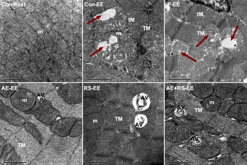 Details are in the caption following the image Details are in the caption following the image