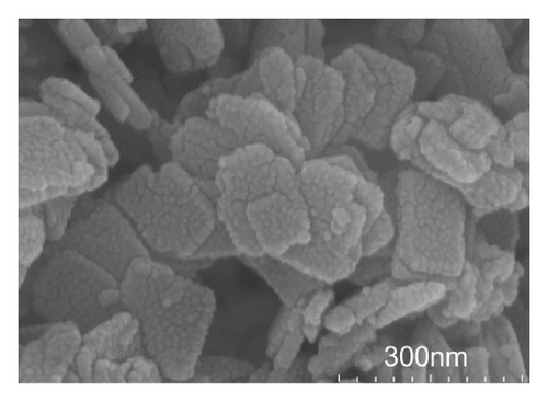 Details are in the caption following the image