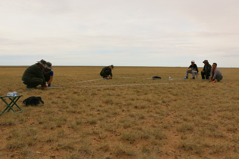 A new digital method of data collection for spatial point pattern analysis in grassland communities
