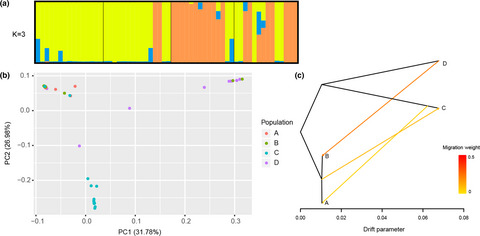Genetic diversity and evolutionary patterns of Taraxacum kok-saghyz Rodin