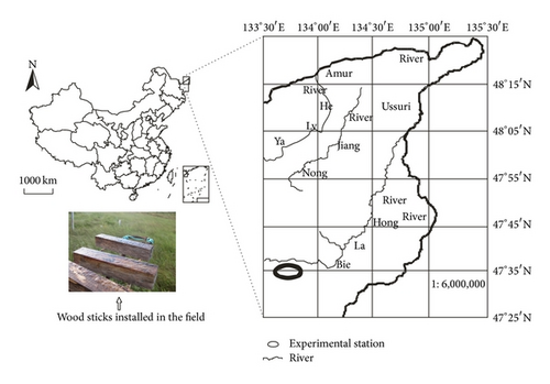 Details are in the caption following the image Details are in the caption following the image