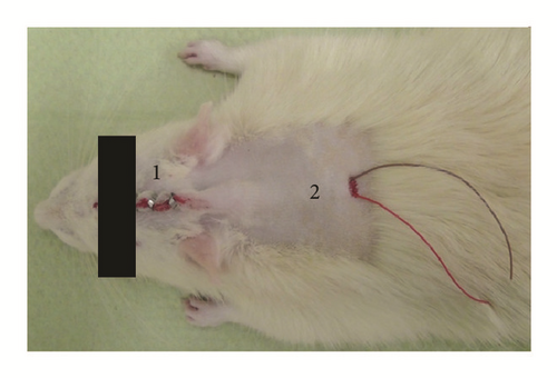 Details are in the caption following the image Details are in the caption following the image