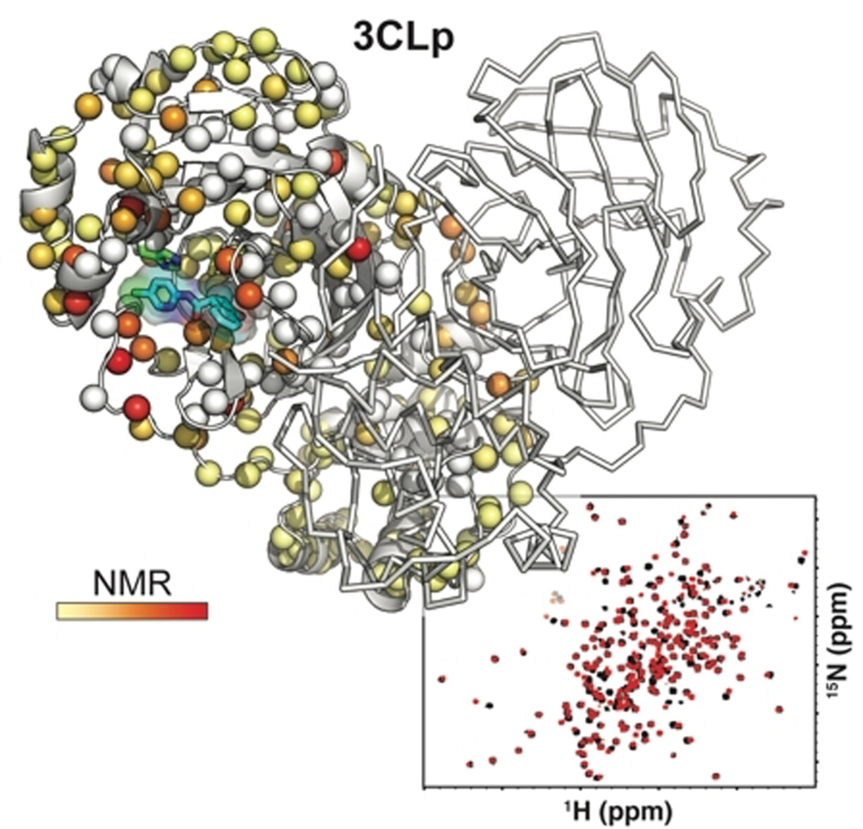 NMR Spectroscopy of the Main Protease of SARS-CoV-2 and Fragment-Based Screening Identify Three Protein Hotspots and an Antiviral Fragment
