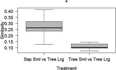 The role of deterministic succession during forest development within a southern African savanna