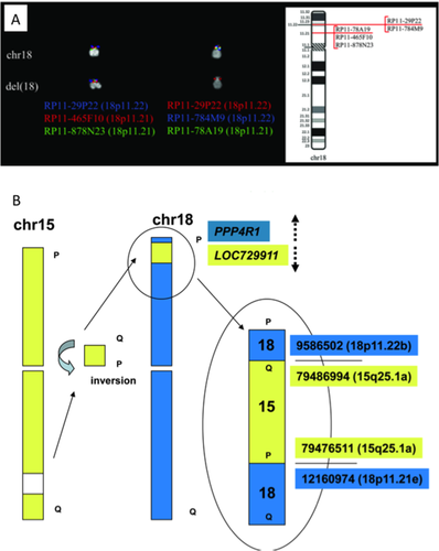 Details are in the caption following the image Details are in the caption following the image
