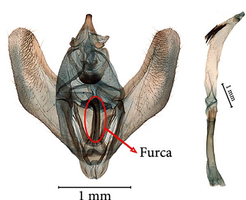 Details are in the caption following the image