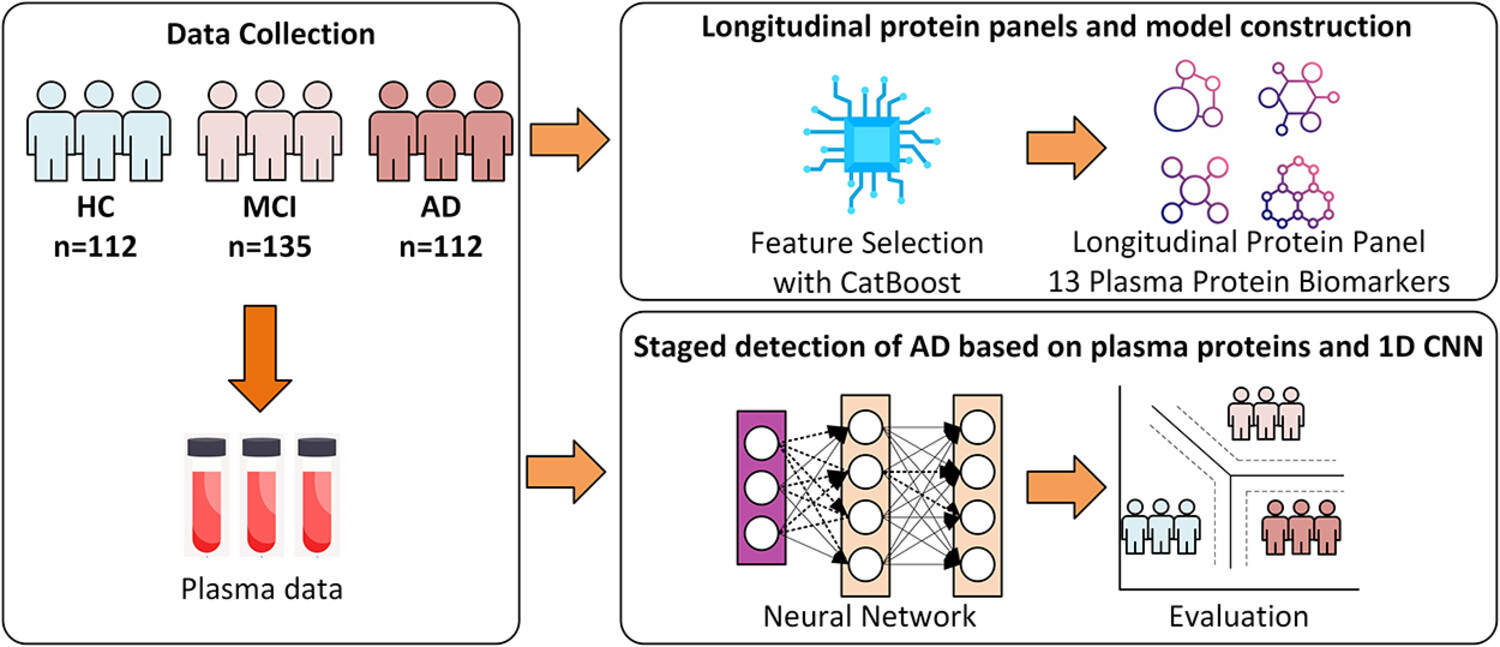 Alzheimer's disease early screening and staged detection with plasma proteome using machine learning and convolutional neural network