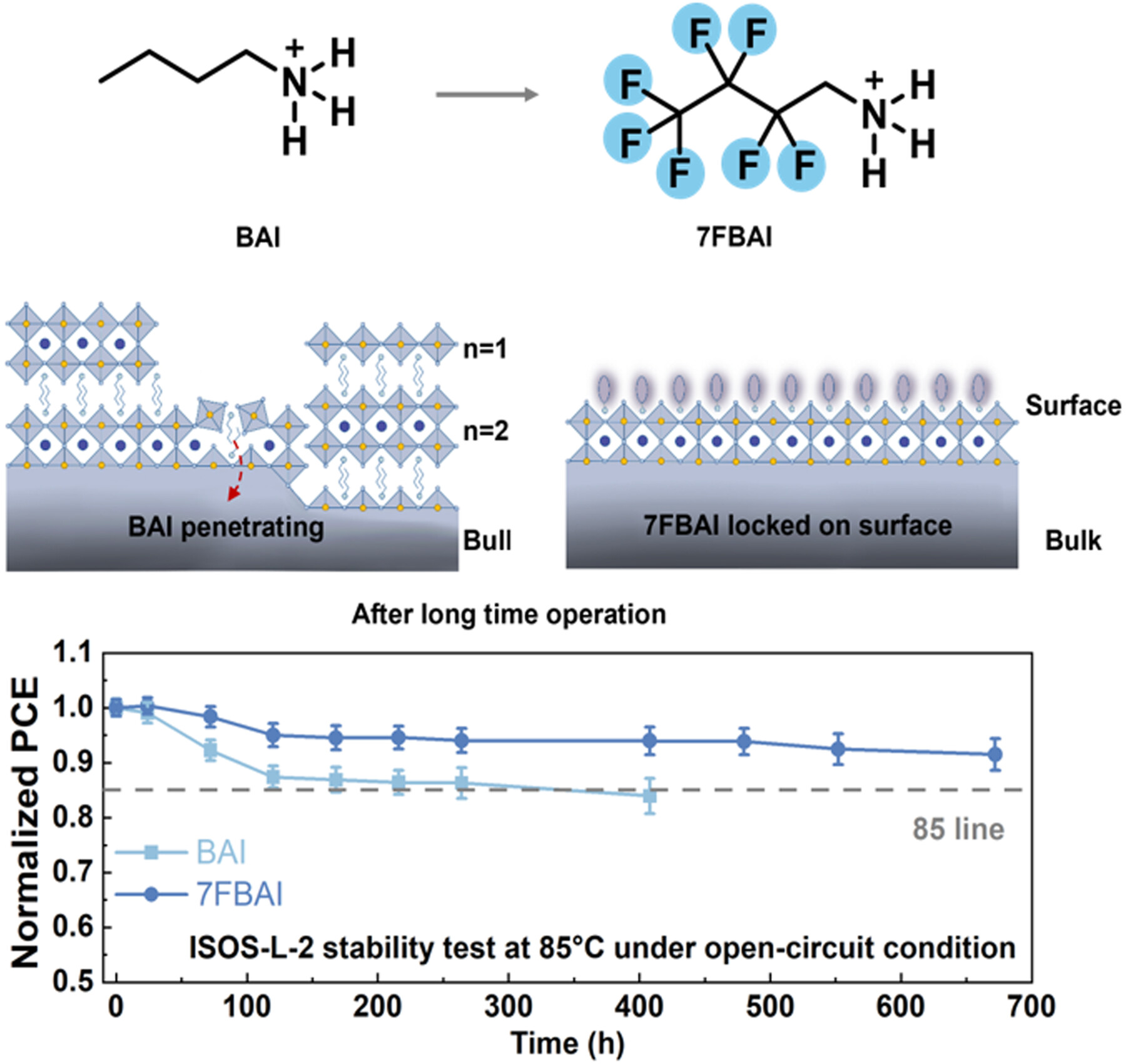 Locking Surface Dimensionality for Endurable Interface in Perovskite Photovoltaics