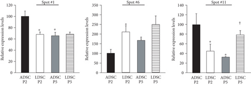 Details are in the caption following the image Details are in the caption following the image
