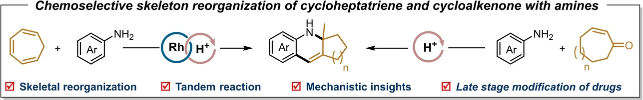 Skeleton-Reorganizing Coupling Reactions of Cycloheptatriene and Cycloalkenones with Amines