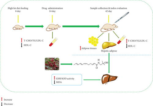 Details are in the caption following the image Details are in the caption following the image