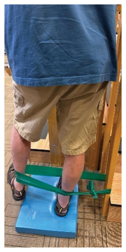 Details are in the caption following the image