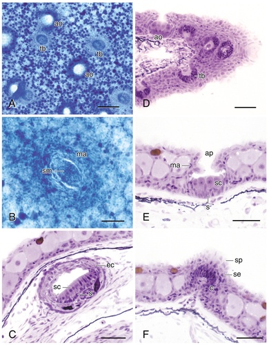 Details are in the caption following the image