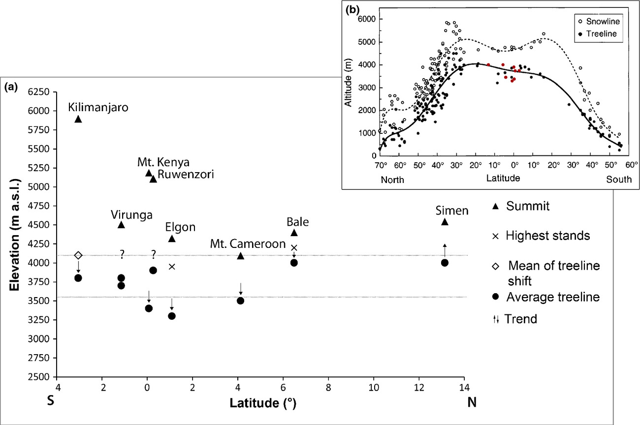 Tree line dynamics in the tropical African highlands – identifying drivers and dynamics