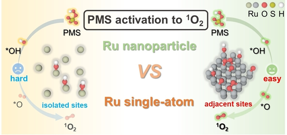 Discriminating the Active Ru Species Towards the Selective Generation of Singlet Oxygen from Peroxymonosulfate: Nanoparticles Surpass Single-Atom Catalysts