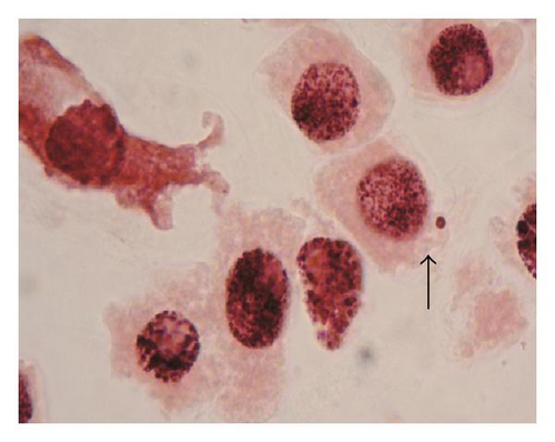 Details are in the caption following the image