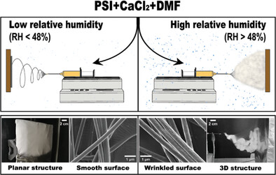 Formation of Three-Dimensional Polysuccinimide Electrospun Fiber Meshes Induced by the Combination of CaCl2 and Humidity