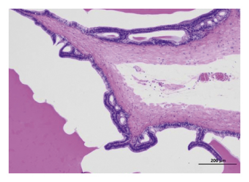 Details are in the caption following the image