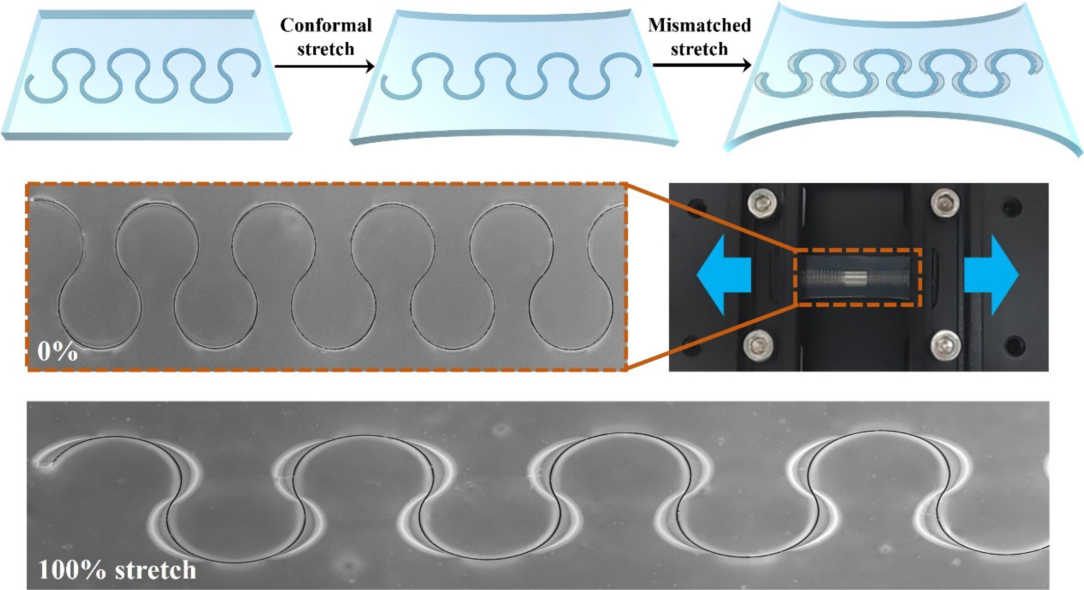 A deformation mismatch strategy enables over 120% stretchability of encapsulated serpentine silicon strips for stretchable electronics