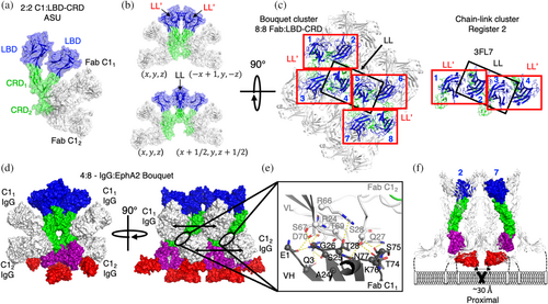 Details are in the caption following the image Details are in the caption following the image