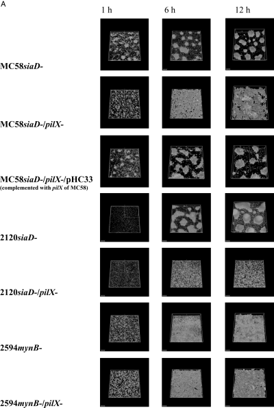Details are in the caption following the image Details are in the caption following the image